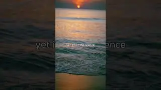 Heartfelt Sad Love Quote by the Beach 🌊💔 | Reflecting on Love and Loss at Sunset