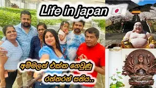 Strawberry&rsquo;s Picking 🍓 |Visit Taiwan Temple 🇹🇼 රත්තරන් සතියේ සවාරිය 🤗 🇯🇵 🧿