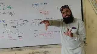 nucleophile vs base ||what is base|what is nucleophile || Differentiate between base and nucleophile