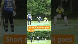 Short pitch ball goes for 4 #grassrootscricket #rugby #cricketaddict #sportsball #sportsball #sportt