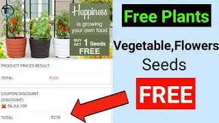 Free Plant seeds Nurserylive|Nurserylive Free Plants|Free Products Loot 2020