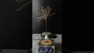 Music Tesla Coil Testing ep5 #experiment #shorts