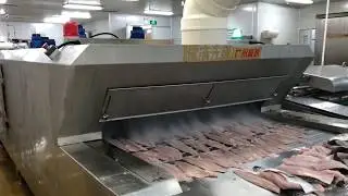 Liquid Nitrogen IQF Tuunel Freezer for Frozen Fish Fillet