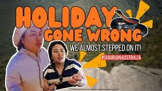 This Was NOT in the Itinerary&hellip; Red Belly Snake Encounter in Australia #ShairainAustralia