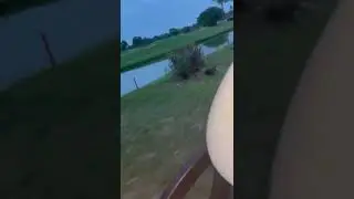 Dog Jumps Off Golf Cart And Runs With It
