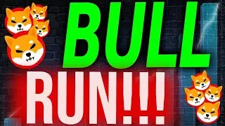 ELON MUSK BEGINS THE GREATEST SHIBA INU BULL RUN AFTER THIS HUGE ANNOUNCEMENT!! - SHIB NEWS TODAY