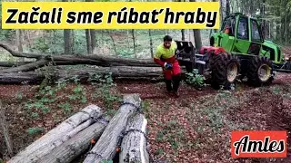 Ten&scaron;ia hmota a manipul&aacute;cia na &scaron;tvorky/Stihl ms 462/Orvex LT 100/@AmlesOrvexLT100
