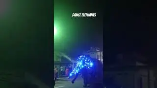 srilanka dance elephants 🤭 #nature #srilanka #asmr #2024 #shortfeed #funny #beautiful #shorts