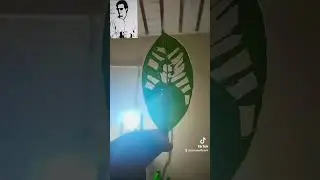 Imran khan Leaf art