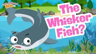 Catfish Facts for Kids 🐟 | Amazing River Animals | Learn About Catfish!