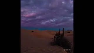 🔥 Breathtaking Desert Sunset 🌄 | Golden Hour Magic in the Sand Dunes ✨