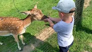 Ausflug in den Wildpark Oberreith (Oberrbayern)