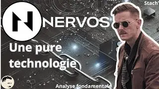 NERVOS CKB ANALYSE FONDAMENTALE