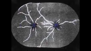 009-06-30-Exp07V.mov