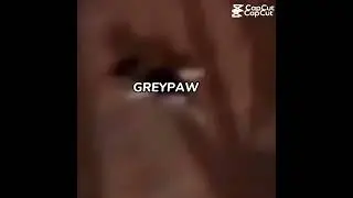 I dunno wut this is but it&rsquo;s true greypaw would do that :)