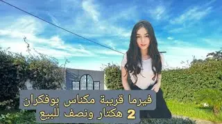 فيرما نواحي مكناس 2 هكتار ونصف للبيع مجهزة للبيع بوفكران محافظه تيتر 0679444657