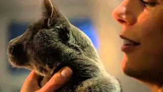 Rachel And Enzo's Story | Meet Purina