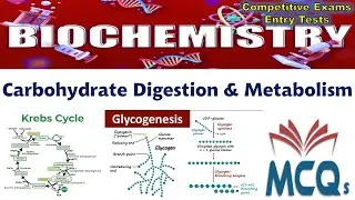 Biochemistry | Carbohydrate Digestion Absorption and Metabolism MCQs