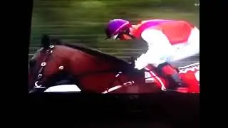 Noel callow benicio 2005 Victoria derby