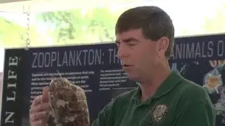 FWC Florida Fish & Wild Life presents at Gulf Specimen Marine Lab