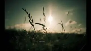 Krivi - Magical Memories