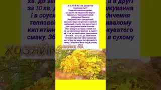 Л А В Р О В Ы Й  ЛИСТ #хозяйкеназаметку &mdash; 18 декабря 2022 г. 13:58