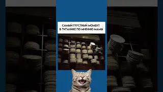 #мем #юмор #прикол