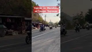 Сейчас, здесь много встречается путешественников из Малайзии!  Звук - бомба!