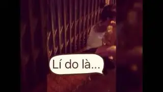 HipStore clip 01