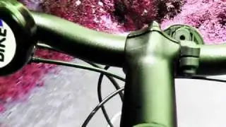Dr Hofman's Psychedelic Bicycle Day (music)