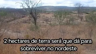 How much does it cost to buy 2 hectares of land in the Northeast?