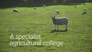 Study Agriculture at Bishop Burton College and University Centre