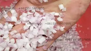 Good performance onion garlic cubes and slice cutting machine slicer