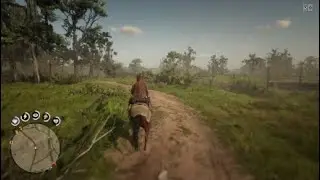 Cowboy Shtuff