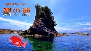 【鴨川】鯛の浦近くの透明度最高ポイント【小弁天島・大弁天島】