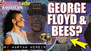 George Floyd and Vanishing of the Bees? w/ @MaryamHeneinbeelady2