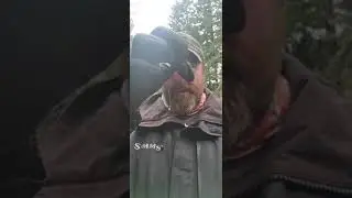 Bead Fishing 