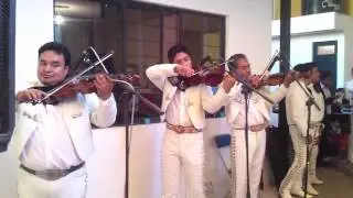 Mariachi Chapala de Tehuacan Puebla Urge