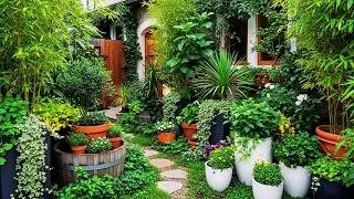 13 Urban Jungle Oasis Ideas 2025 🌿 | Transform Your Front Yard Into a Lush Green Paradise