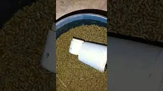 rabbit feeds. Hay. Pellets #agriculturelife #farm #hay #pellets #rabbit