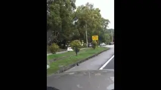 Oil brake scam 5