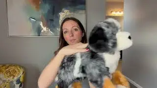 Mom approved, kid tested Australian Sheperd