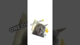 Loving message