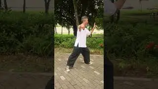 🌟 單鞭下勢詳解，外加不傷膝蓋的練法