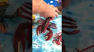 Lobster Sizes: Big, Medium, Small!  #KidsLearning