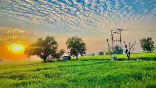farmer WhatsApp Status|| farmer Song Status || WhatsApp Status ||&nbsp;#Shorts#Status