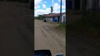 FAZENDA NO AGRESTE PERNAMBUCANO #nordeste #pernambuco #Agreste #fazenda