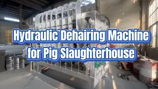 Best Slaughtering Equipment Supplier in China for MAXIMUM Efficiency! Pig Dehairing Machine