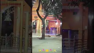 Beautiful🛕Temple 🤲✨#temple #beautiful #shorts #short  #peaceful #new #ytshorts #top #mandir #status
