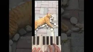 Kittyo art on a Sunday morning and some nice vibes playing #piano #shorts #goodboy